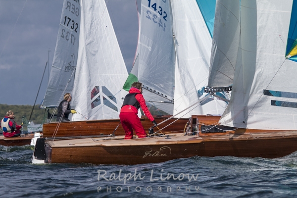 dal206