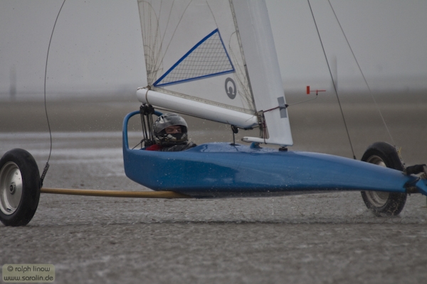 dap288