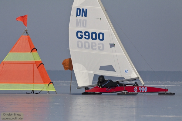 dnk337