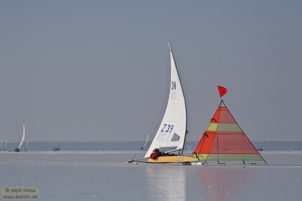 dnk382