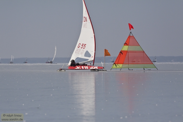 dnk389