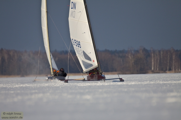 igo593