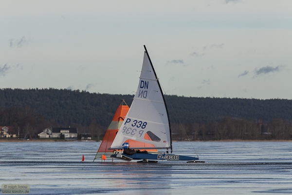 nop447