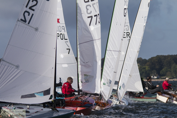 ows816